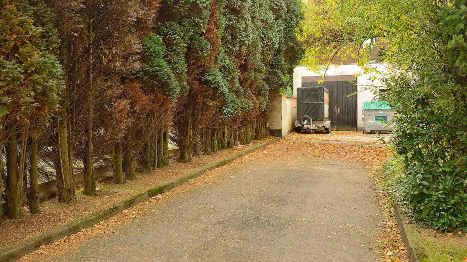 Immobilienmakler Bochum Gerdt Menne Haus kaufen Bochum Einfamilienhaus in Bochum Westenfeld hier Garten