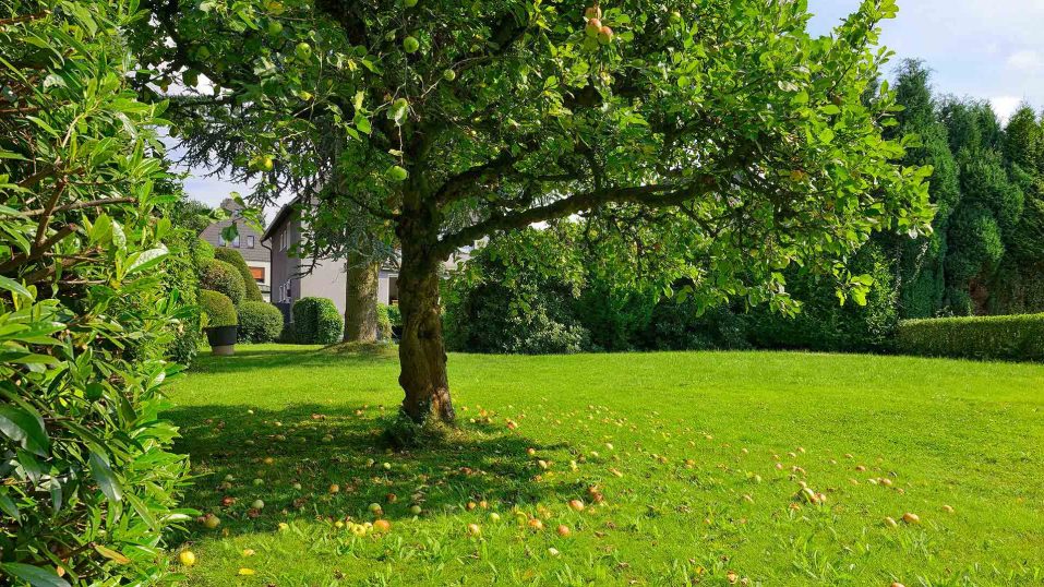 Immobilienmakler Bochum Gerdt Menne Haus kaufen Bochum Einfamilienhaus in Bochum Eppendorf hier Garten