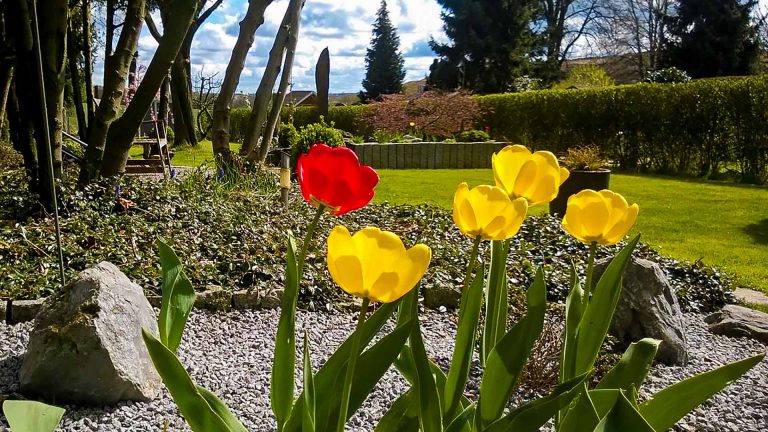 Immobilienmakler Bochum Gerdt Menne Haus kaufen Bochum Reihenendhaus in Bochum Harpen hier Garten