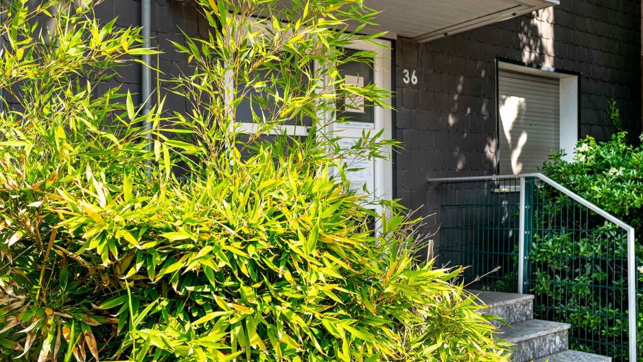 Immobilienmakler Bochum Gerdt Menne Haus kaufen Bochum Mehrfamilienhaus in Bochum Linden hier Strassenansicht